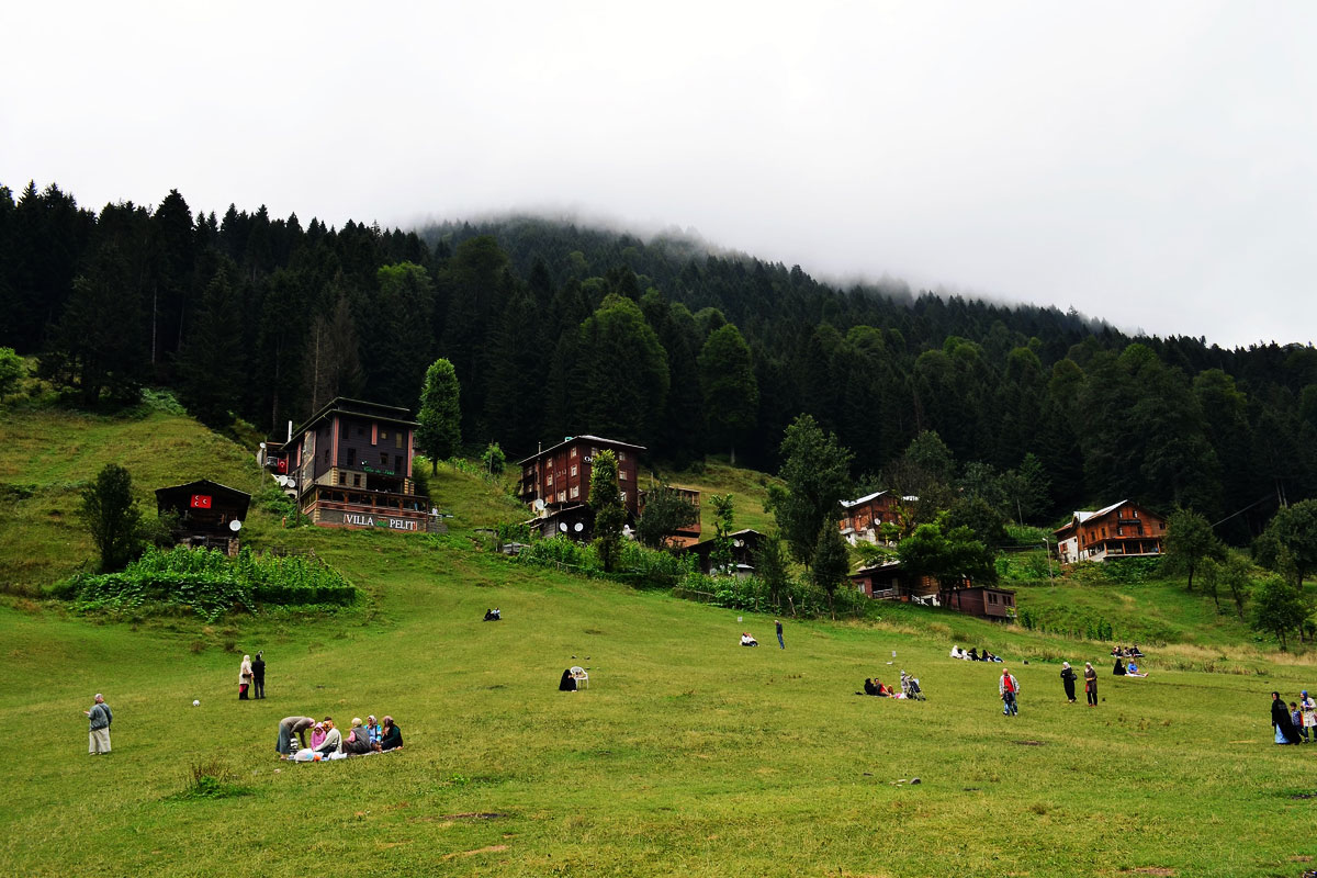 Ayder Yaylası