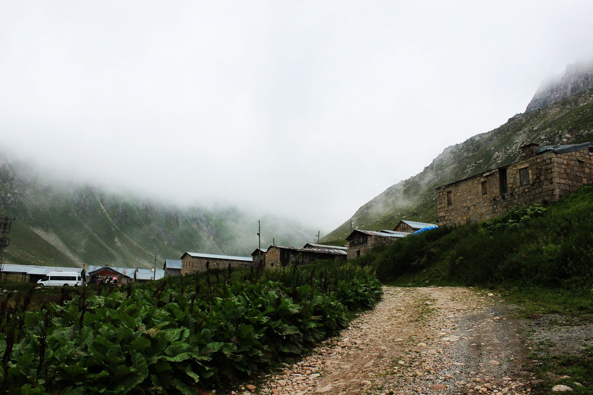 Elevit Yaylası